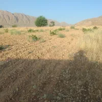 زمین-باغچه-700متری-فروش-فوری-در-زرقان