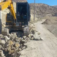 پرنده مهاجر