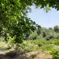 باغ،زمین ،روستای گیو،طینوج،دستجرد