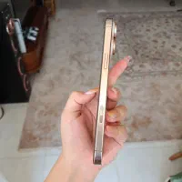 اپل iPhone 16 Pro Max با حافظهٔ ۲۵۶ گیگابایت|موبایل|سیرجان, |دیوار