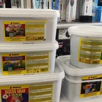 غذا تروپیکال لهستان فله فایتر تترا گلدفیش کوی