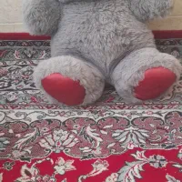 خرس بزرگ طوسی