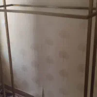 رگال کاملا سالم و نو