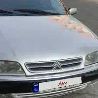 زانتیا نقره ای