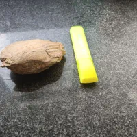 فسیل دو کفه ای مربوط به ژوراسیک ایران|کلکسیون اشیاء عتیقه|طبس, |دیوار