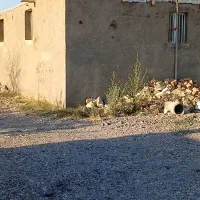 اجاره-سوله-بهترین-جا-وبانگهبانه-24ساعتی