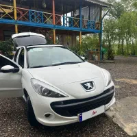 ۲۰۷ پانا ارتقا رینگ فولادی