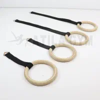 دارحلقه ژیمناستیک مسابقاتی و کمک آموزشی