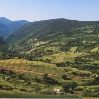 فروش زمین  کجور روستای نیرس بسطام