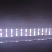 ال ای دی،فیلتر داخلی،استیک،ویبرابایت،فیکوسیانین|ماهی|مشهد, انقلاب|دیوار