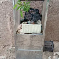 فر نو ساندویجی فقط تو حیات بوده دوسال سه شعله