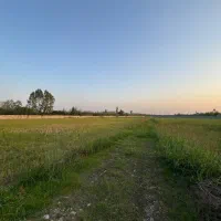 زمین 2.7 هکتاری بر اتوبان بابل قائمشهر|فروش دفتر صنعتی، کشاورزی، تجاری|بابل, |دیوار