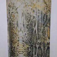 تعدای روسری شالی نو