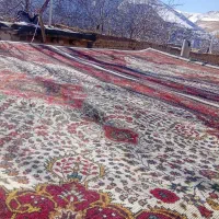 جفت 6متری کرمان قلم|فرش|آذرشهر, |دیوار