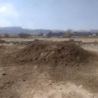 کود حیوانی (پِهِن بز )به فروش می رسد