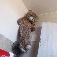 خرس بزرگ|اسباب‌‌بازی|شیراز, شهرک مهرگان|دیوار