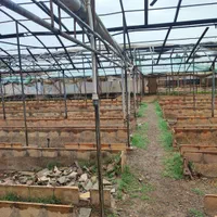 گلخانه آماده به کار در شهریار|فروش دفتر صنعتی، کشاورزی، تجاری|شهریار, اسکمان|دیوار