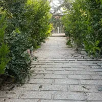 باغچه 500متری چسب بافت