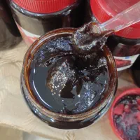 رب انار ترش ملس محلی ( تضمینی)