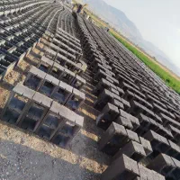 استخدام دربلوک زنی