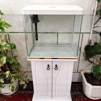 آکواریوم شرکتی دلسا K500 با پایه، درحد آک