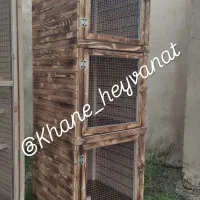 لانه کبوتر جفت کنی