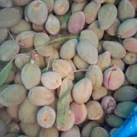 بادام فرانسوی