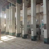 یک کارگر ساده برای نصب دستگاه شالیکوبی مدرن