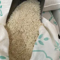 برنج هاشمی درجه یک|خوردنی و آشامیدنی|تاکستان, |دیوار