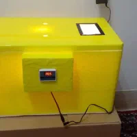 دستگاه جوجه کشی