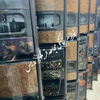 بخاری گازی مجهز سنسور