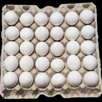 تخم مرغ 155ت بازارچه غدیر