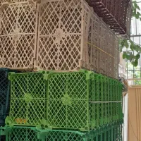 سبد میوه تک رج ودورج ۱کیلو‌تا۵کیلویی زیرقیمت بازار