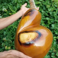 تارکارگاهی|سازهای سنتی|تهران, افسریه شمالی|دیوار