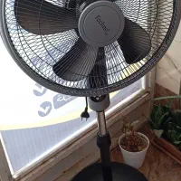 پنکه ایستاده