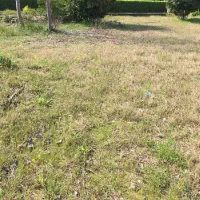 دو قطعه زمین ویلایی در دل کوهپایه