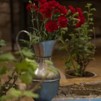 سالندار رستوران|استخدام خدمات فروشگاه و رستوران|شیراز, بازار|دیوار