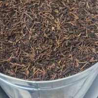 بازی تست ای|اسباببازی بچه|قزوین, |دیوار