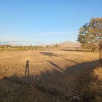 فروش زمین کشاورزی