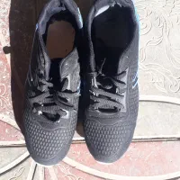 کفش (تعداد)|کیف، کفش، کمربند|گرمسار, |دیوار