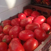 گرجه پی اس