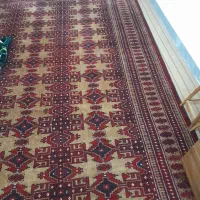 ترکمن فرش ۲ عدد|فرش|بندر ترکمن, |دیوار