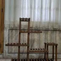 استندگل|گل و گیاه طبیعی|گنبد کاووس, |دیوار