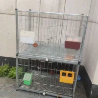 قفس کبوتر