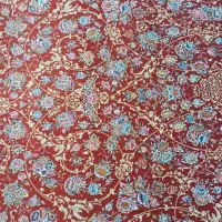 فرش کلاسیک و مدرن با قیمت شگفت انگیز|فرش|پیرانشهر, |دیوار