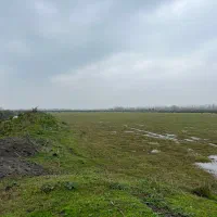 زمین متری ۱میلیون مخصوص سرمایه گذاری کوتاه مدت