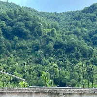 خونه ویلایی جنگلی شفت ،*behnamvila*|فروش خانه و ویلا|احمدسرگوراب, |دیوار