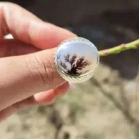 انگشتر نقره