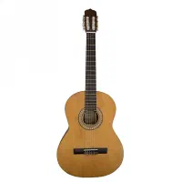 گیتار پارسی M2