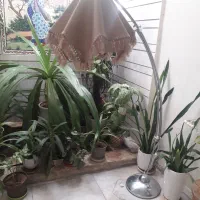 چراغ خواب سالم ودو عدد سریچراغ خواب|چراغ خواب و آباژور|شیراز, تندگویان|دیوار